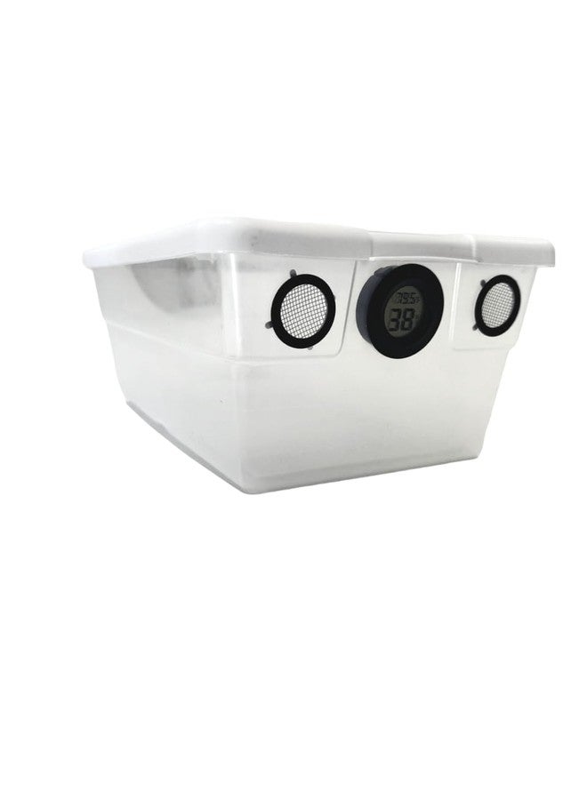 Bugzy Bugs Vented Vivarium Enclosure 6 Quart Terrarium with Black Vents, Temperature & Humidity Sensor for Reptiles, Isopods, Small Bugs - Image 5